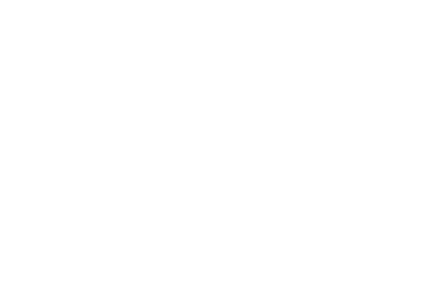 Prinus Montan Logo