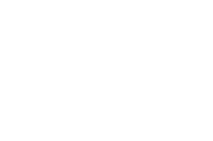 Schmidt & Bender Logo