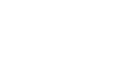 verticus logo